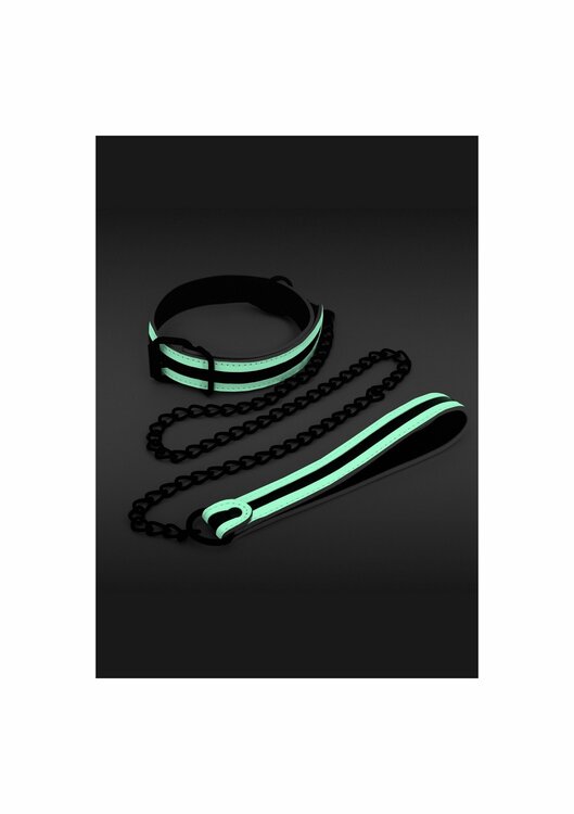 Glo Collar And Leash