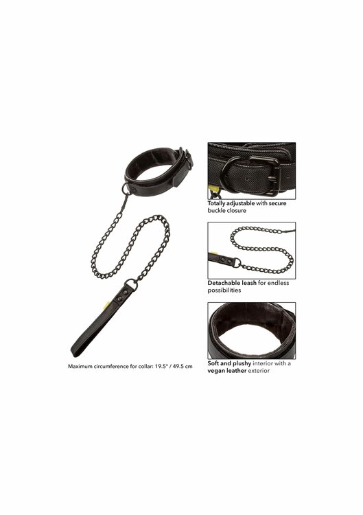 Boundless Collar &amp; Leash