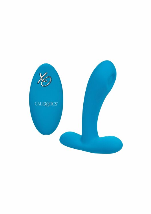 Silicone Remote Puls Pleaser