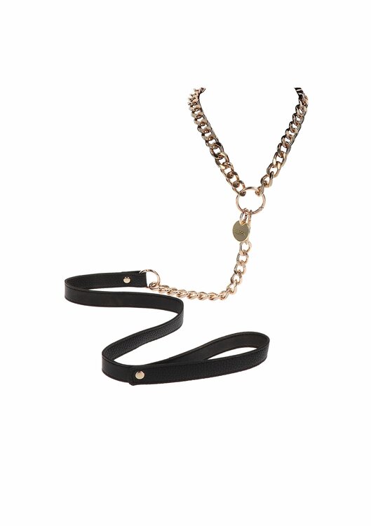 Statement Collar and leash