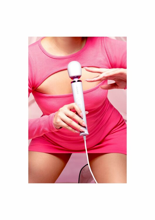 Le Wand Petit Plugin Massager