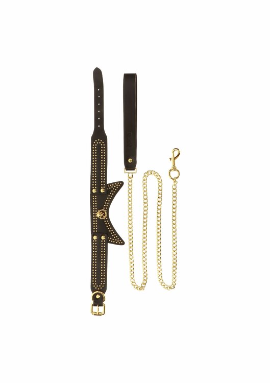 Studded Collar and Leash