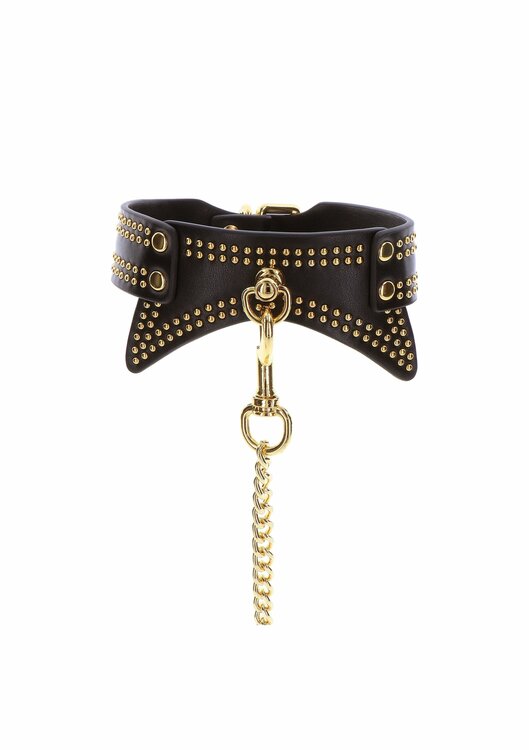 Studded Collar and Leash