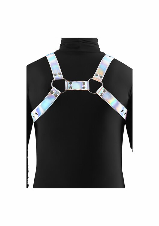 Cosmo Harness Rogue