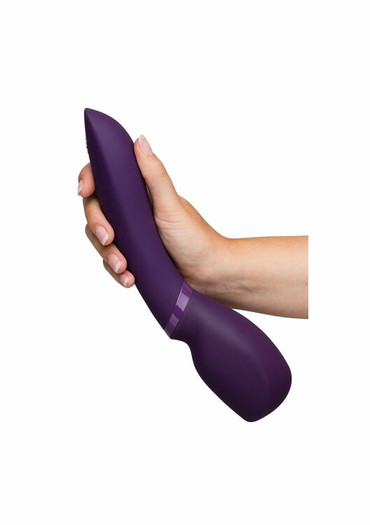 We-Vibe Wand 2