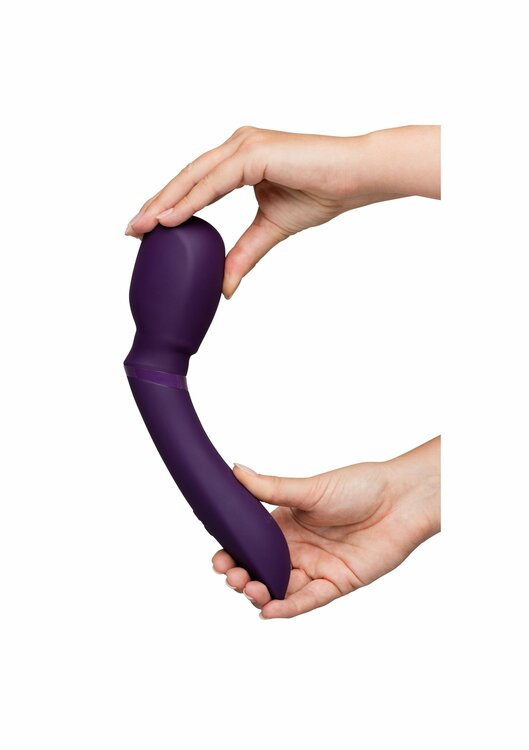 We-Vibe Wand 2