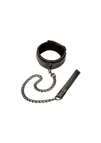 Boundless Collar &amp; Leash