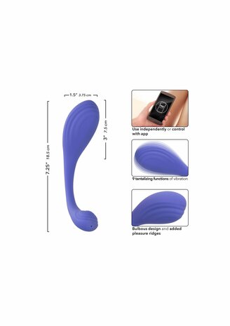 Calex Connect Kegel Exerciser