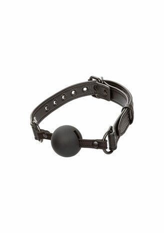 Nocturnal Ball Gag