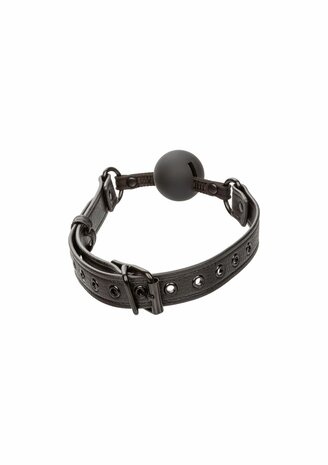 Nocturnal Ball Gag