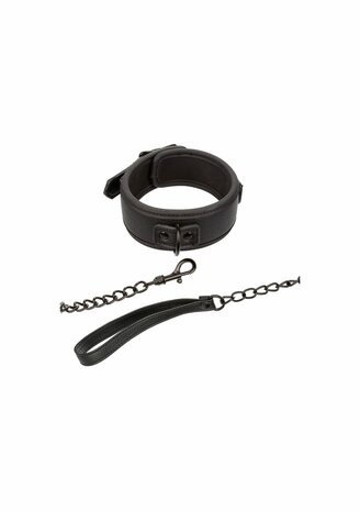 Nocturnal Collar &amp; Leash