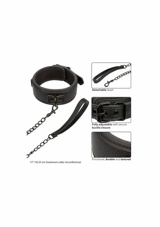 Nocturnal Collar &amp; Leash